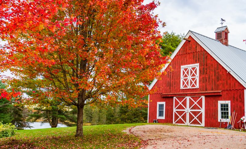 Barn Renovation in Olathe, KS