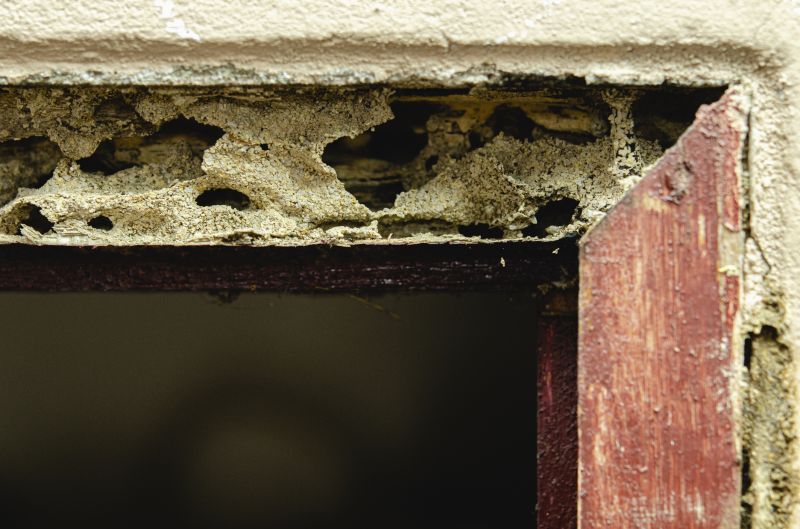 Wood Rot Repair Solutions For Outdoor Structures